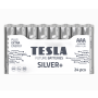 Alkaline battery  LR03 TESLA SILVER+F24 - 2