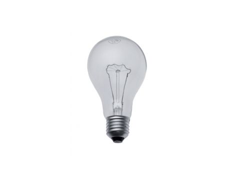 Bulb GLS 40W E27 CLEAR specialized
