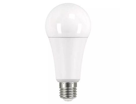 Bulb LED A67 19W E27  ZQ5185 CW