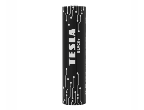 Alkaline battery  LR03 TESLA BLACK+F24 - 2