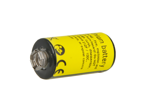 Lithium Battery Texas PLC B9508/2587678-8005 - 3