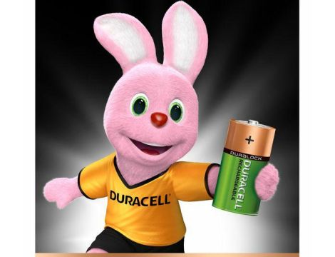Recharge ULTRA DURACELL R14 C 3000mAh - 5