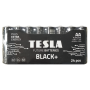 Alkaline battery  LR6 TESLA BLACK+F24 - 2